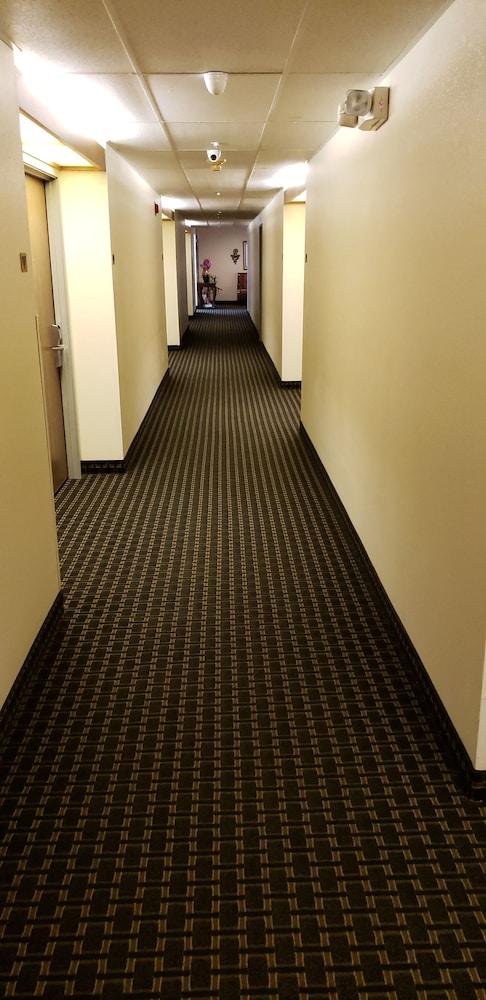 Super 8 By Wyndham Windsor Hotel Bagian luar foto